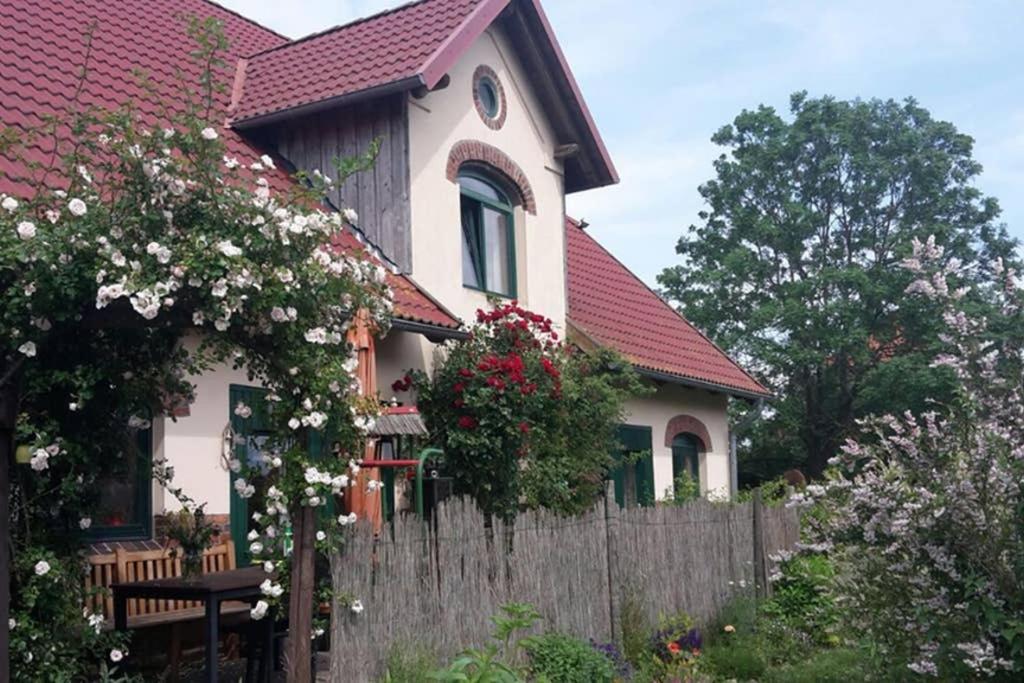 Entspannen Im Dorf Am See Zahren Zewnętrze zdjęcie